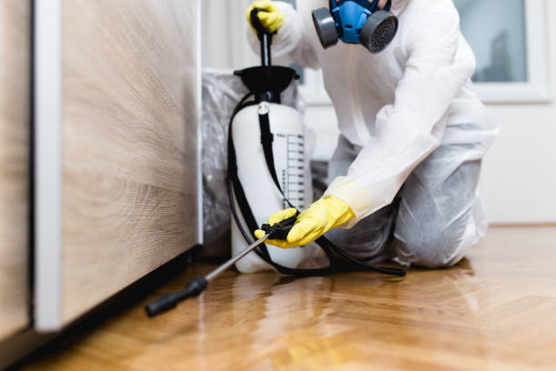 Best Bed Bug Extermination  in Commerce, CA