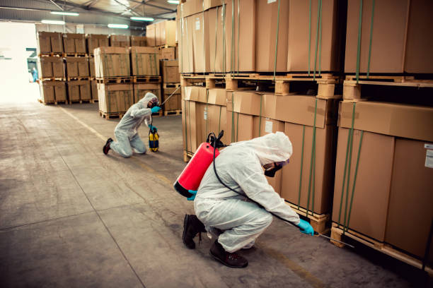 Best Emergency Pest Control  in Commerce, CA