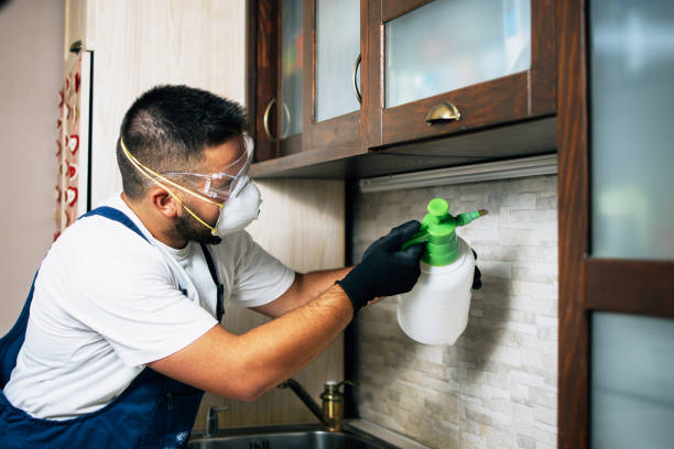 Best Spider Control Near Me  in Commerce, CA