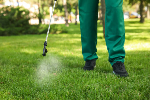 Best Affordable Pest Control Services  in Commerce, CA