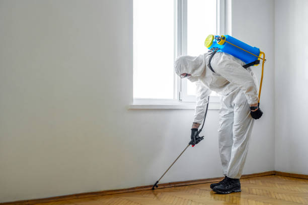 Best Insect Control  in Commerce, CA