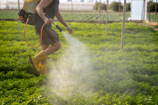 Professional Pest Control in Commerce, CA