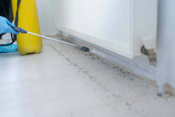 Best Pest Control Near Me  in Commerce, CA