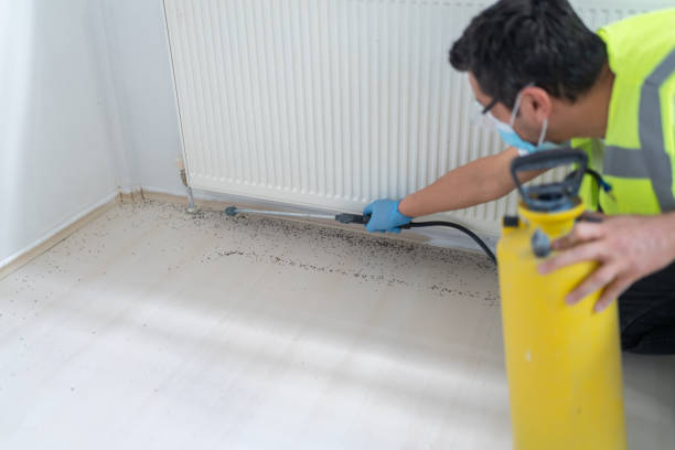 Best Rat Extermination Near Me  in Commerce, CA