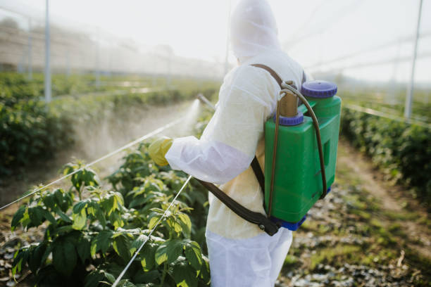 Best Pest Inspection Near Me  in Commerce, CA